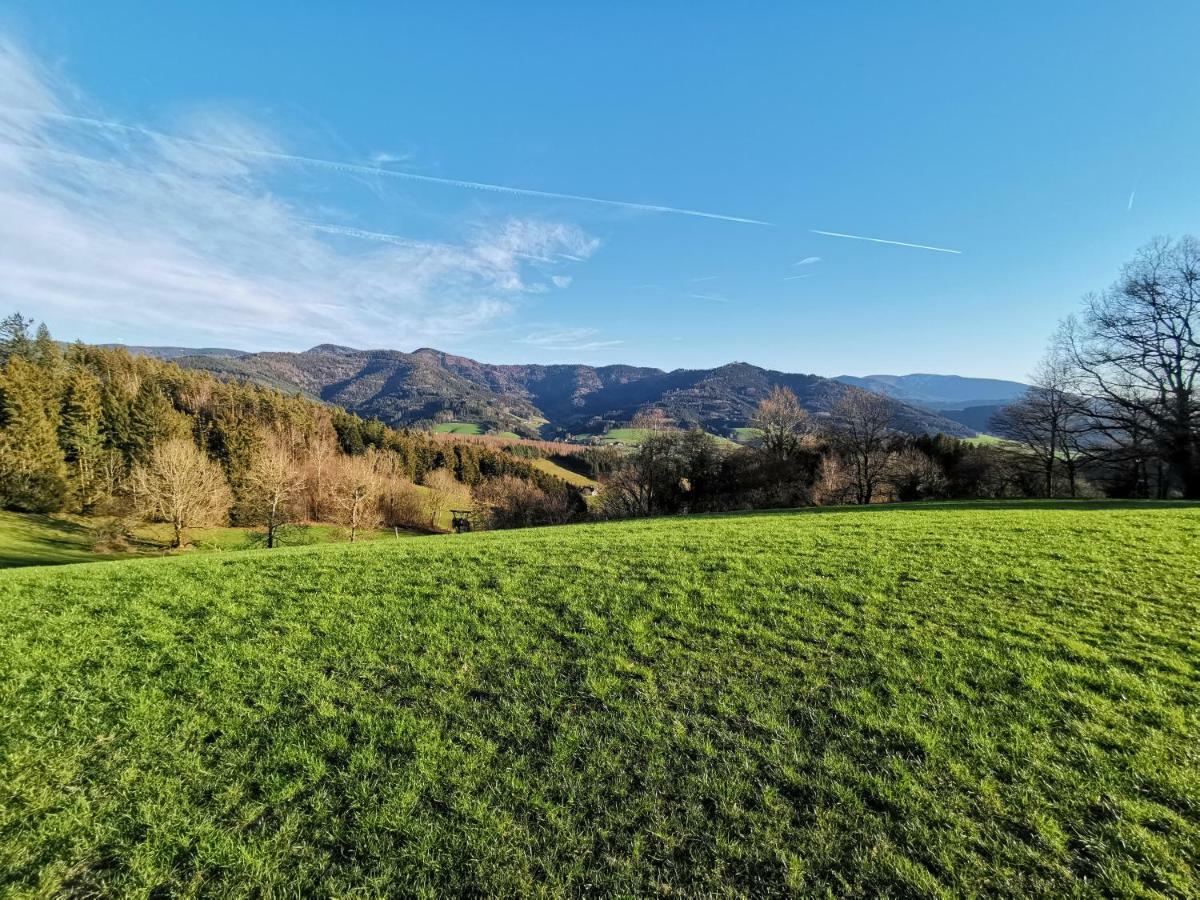 Modernes Appartement Schwarzwald Naehe Freiburg فندن إم إلتزتال المظهر الخارجي الصورة