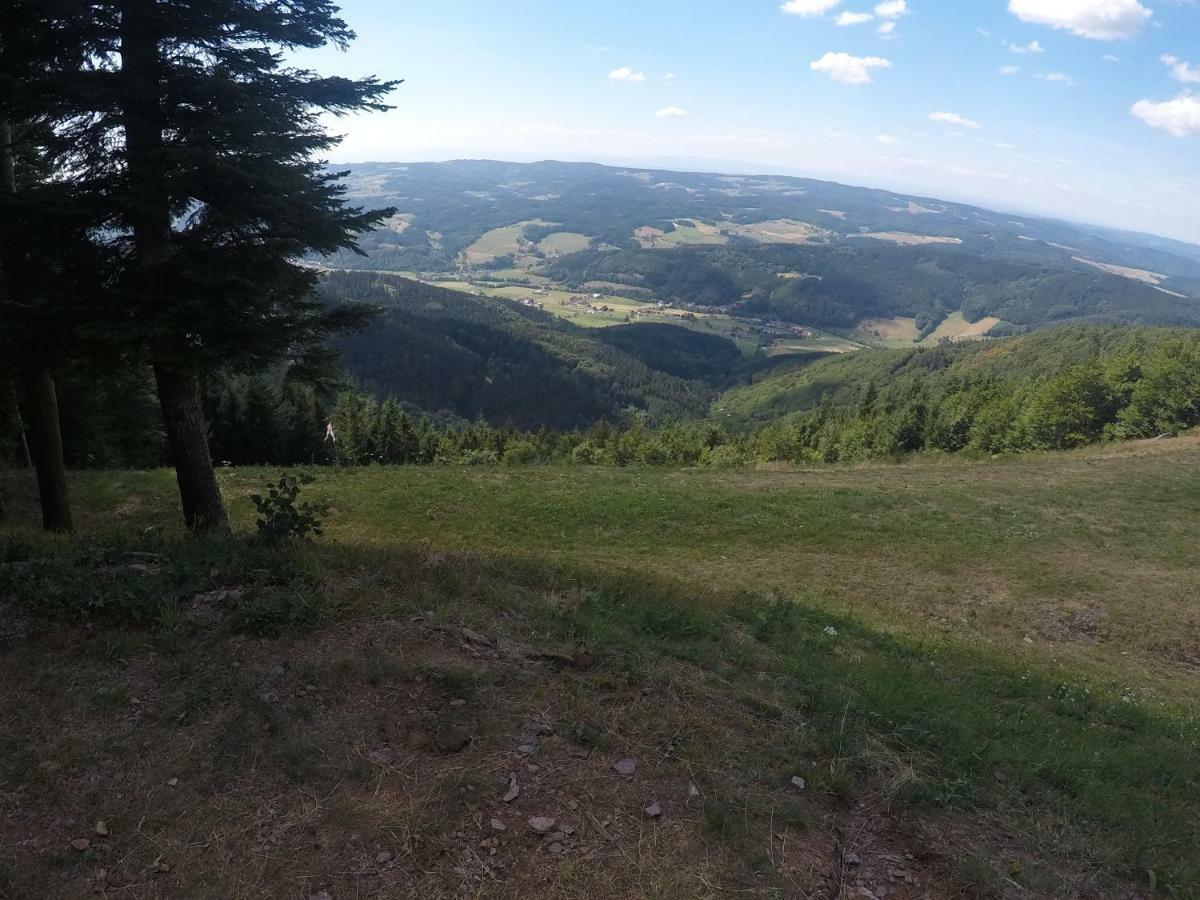 Modernes Appartement Schwarzwald Naehe Freiburg فندن إم إلتزتال المظهر الخارجي الصورة