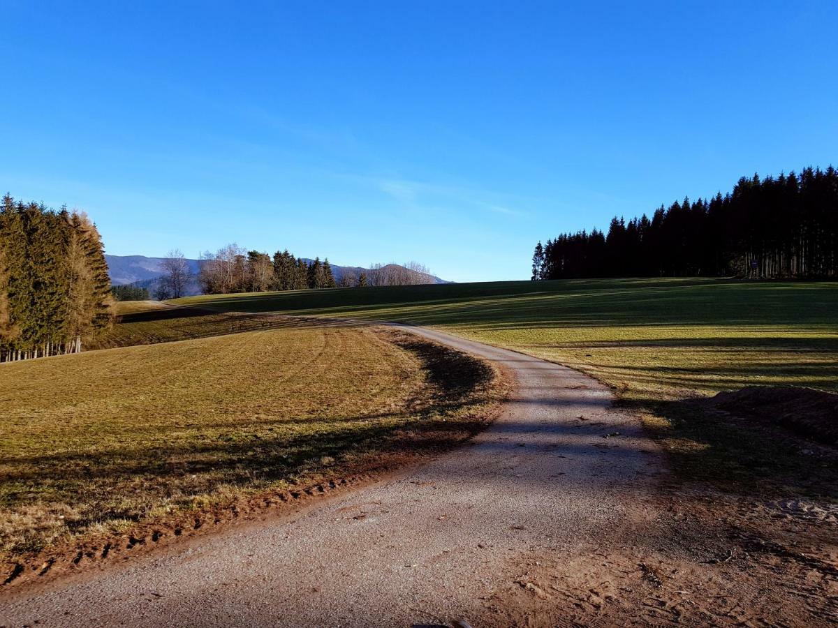 Modernes Appartement Schwarzwald Naehe Freiburg فندن إم إلتزتال المظهر الخارجي الصورة